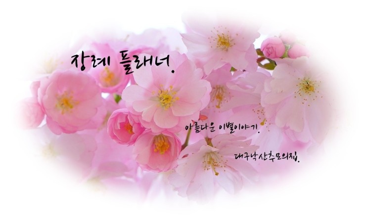 대구 광역시 장사시설 이용감면.