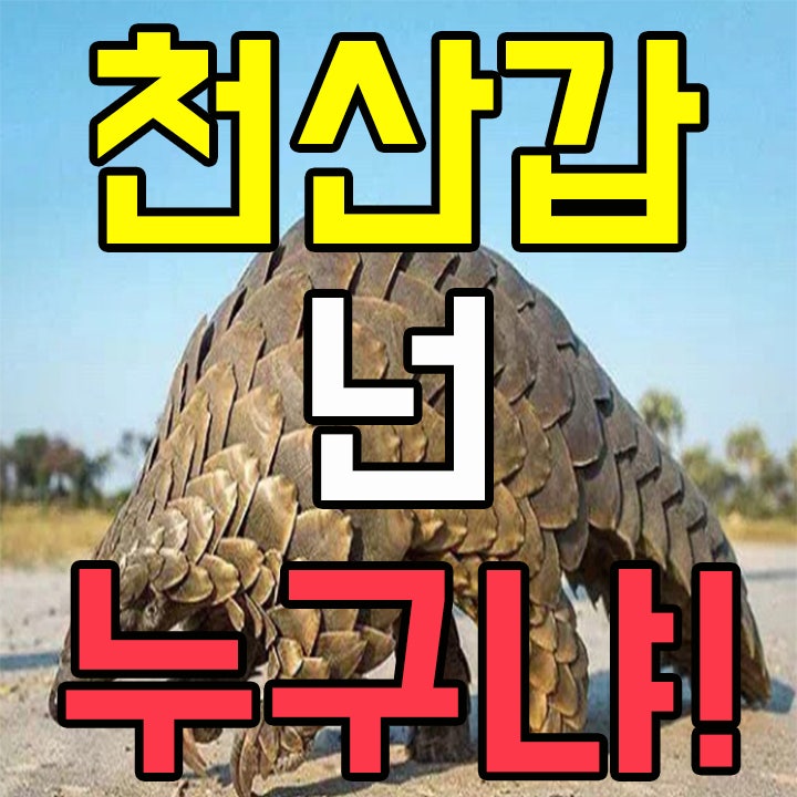 신종 코로나바이러스 중간숙주로 불리우는 천산갑은 도대체 무엇인가!