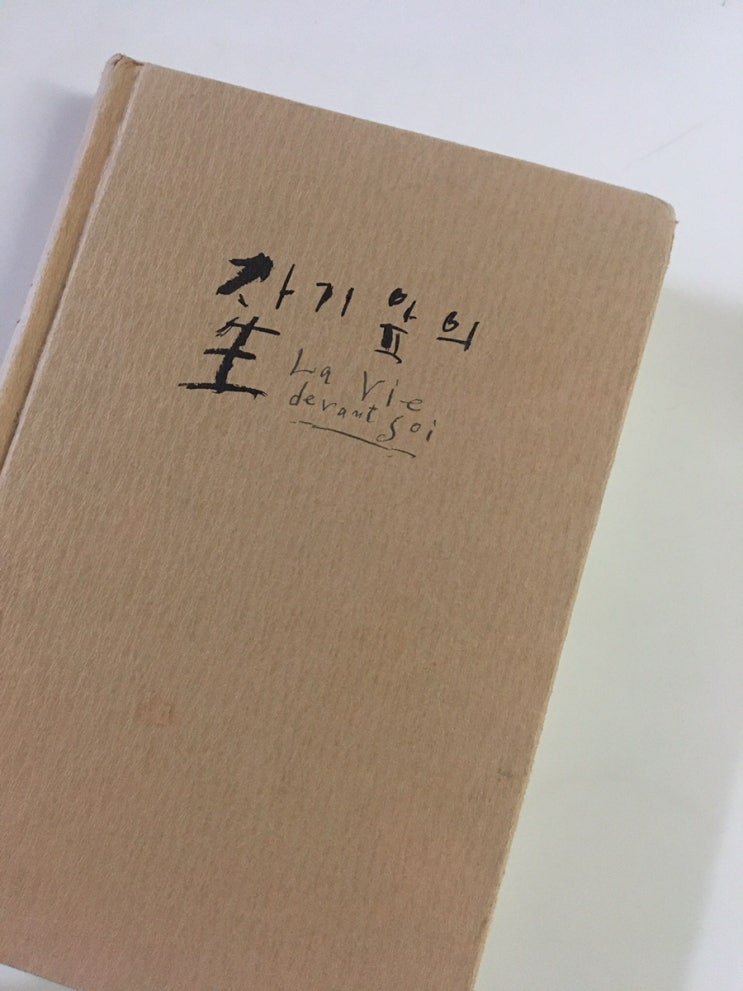 <자기 앞의 생> 에밀 아자르 - 사랑해야 한다