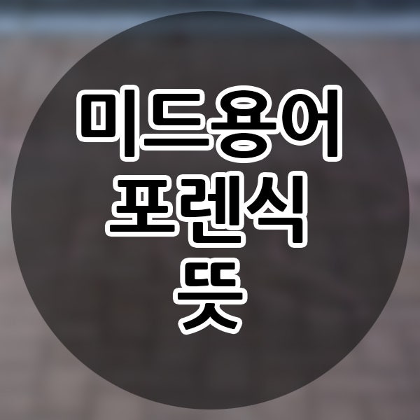 포렌식(Forensic)? 무슨 뜻일까? 외국어 수사물 등장 용어 영어 단어 알아가기 포렌식 뜻