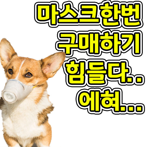 코스트코 마스크 목록 정리 및 입고현황(2월21일자)