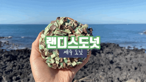 제주 도넛 맛집 랜디스도넛 한 번쯤은 괜찮