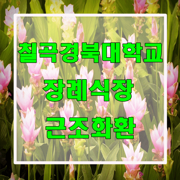 칠곡 경북대학교병원 장례식장 근조화환 신속하고 정확하게 배송합니다.