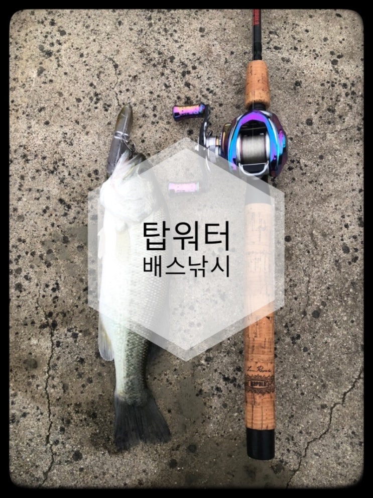 [충북]비 오는 날 배스낚시-탑워터(새로운 로드-라팔라 시그네쳐 마수걸이하기)ㅎㅎㅎ
