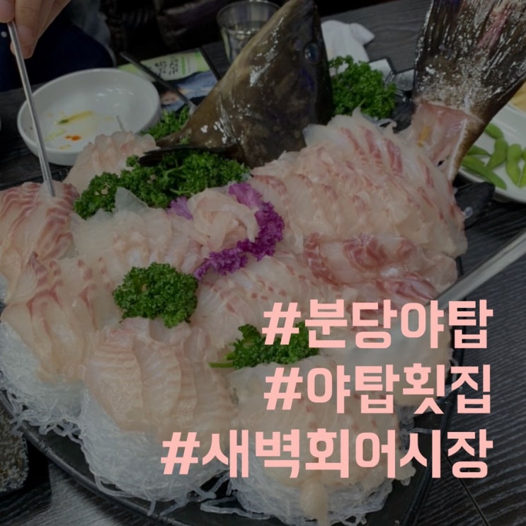 [분당]야탑 맛집/새벽어시장에서 다금바리 냠냠
