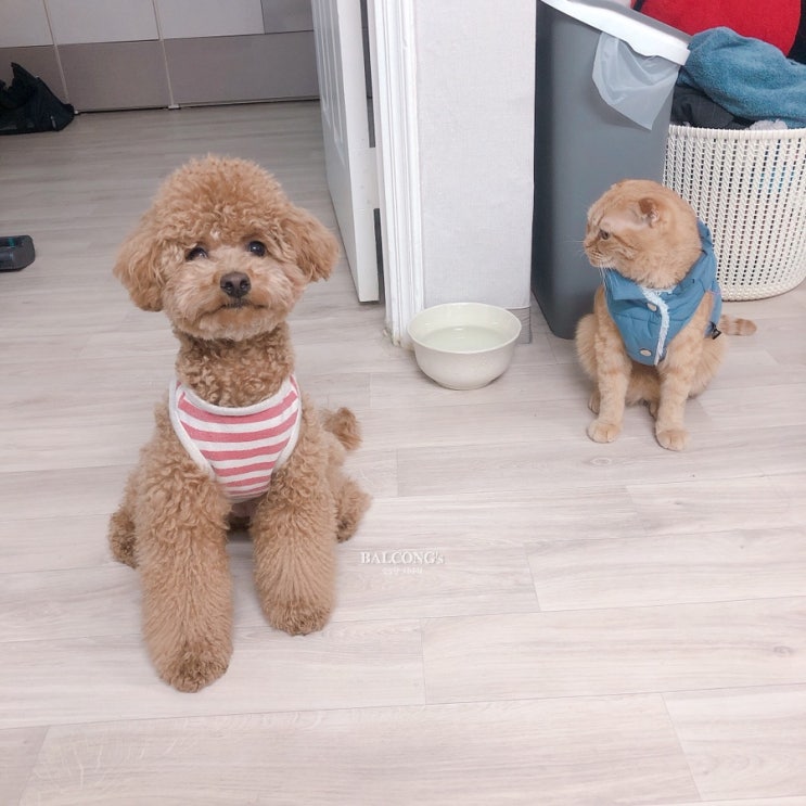 G네 집들이~인천 나들이 인형같은 돌멩이