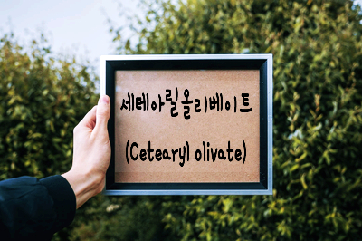 고보습성분 세테아릴올리베이트 (Cetearyl olivate)