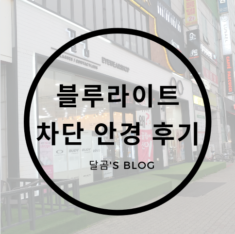 [제품] 블루라이트 차단 안경 : 내 눈은 내가 보호한다!