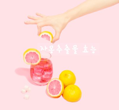 [화장품성분] 자몽추출물이 방부제 역할할까?
