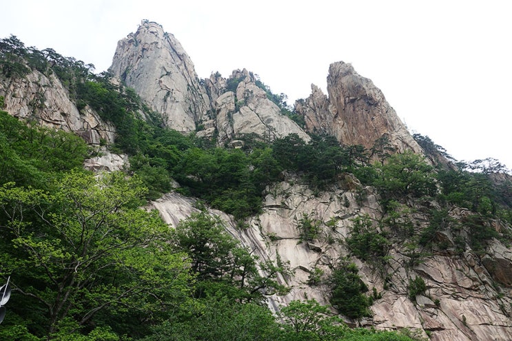 명품 속초 설악산 설경