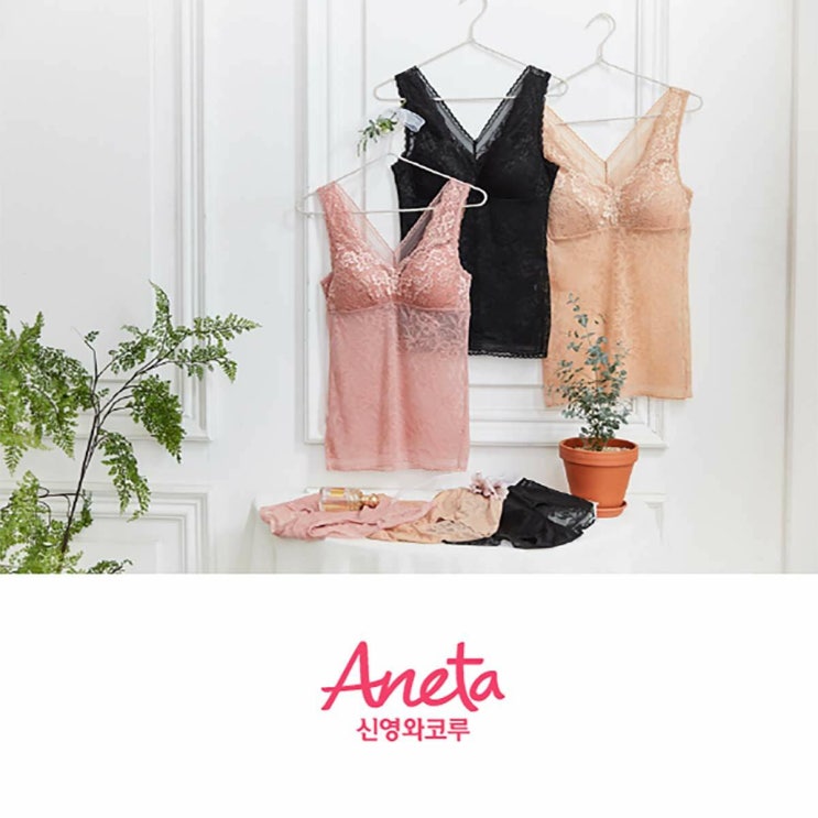 [신세계TV쇼핑](신년특가) Aneta by신영와코루 란쥬팬티 패키지 추천해요