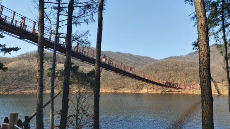 파주 가볼만한곳 마장호수 출렁다리