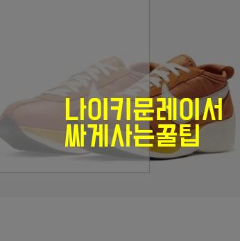 나이키 문레이서 모나크~ 참 이쁘다 신발!