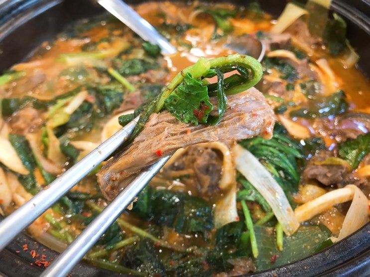 의정부동 백숙, 흑염소전골 맛집 자양집에서 보양하고 왔어요