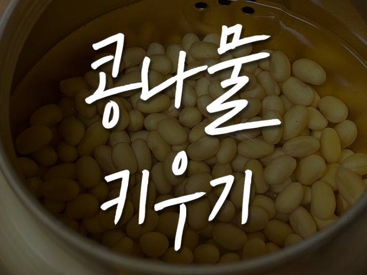 자발적 자가격리 - 집에서 콩나물 키우기(feat.식목일을 앞두고)