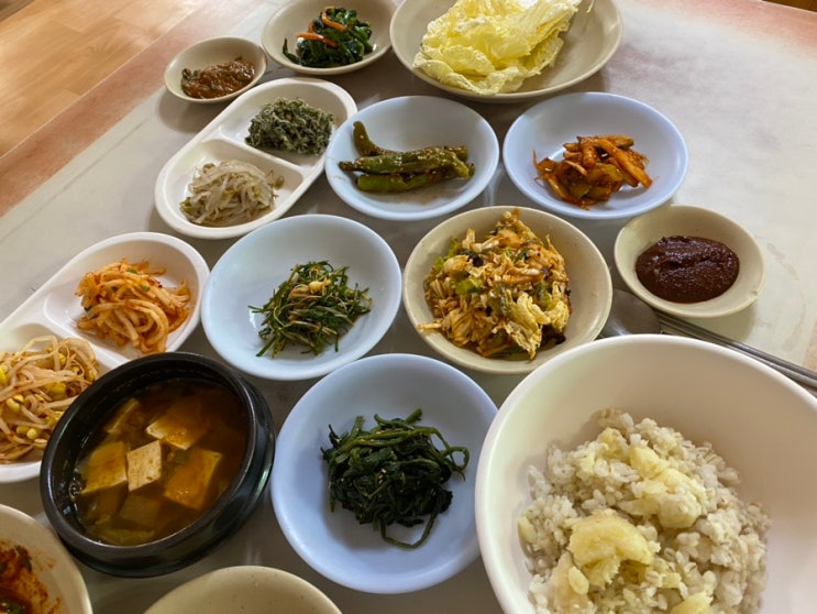 운동하는 비건식단 | 보리밥정식, 매일두유+OMG 식물성 단백질 파우더, 과일식, 율동공원+하체운동