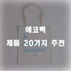 2020년 후회없는 선택의 에코백 제품 20가지 순위 추천 리스트 입니다. 2020년 후회없는 선택의 에코백 제품 20가지 순위 추천 리스트 입니다.