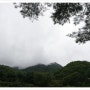 김흥수의 숲의가치 이야기 - 2. 기후변화와 숲의 가치