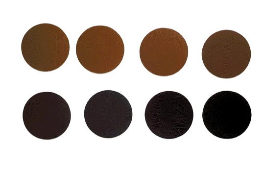 SCAA _ Agtron _ 95(very light)부터 25(very dark)까지 8단계 : 네이버 블로그
