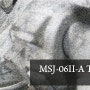 MSJ-06II-A TIEREN GROUND TYPE Bandai 1:100 scale kit