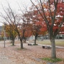 [2009-10-29] 가을을 느끼며.. 롱롱이님의 꽃집 접수하기!!~