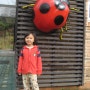 인천나비공원,서구생태박물관