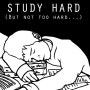 Study Hard