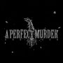 A Perfect Murder - Unbroken (2004)