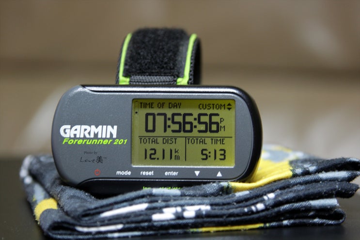 가민 GPS-Forerunner™ 201 : 네이버 블로그
