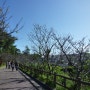 [오키나와 후텐마기지] 기지이전문제로 시끄러운 후텐마기지, 의문의 위령탑 청구의 탑