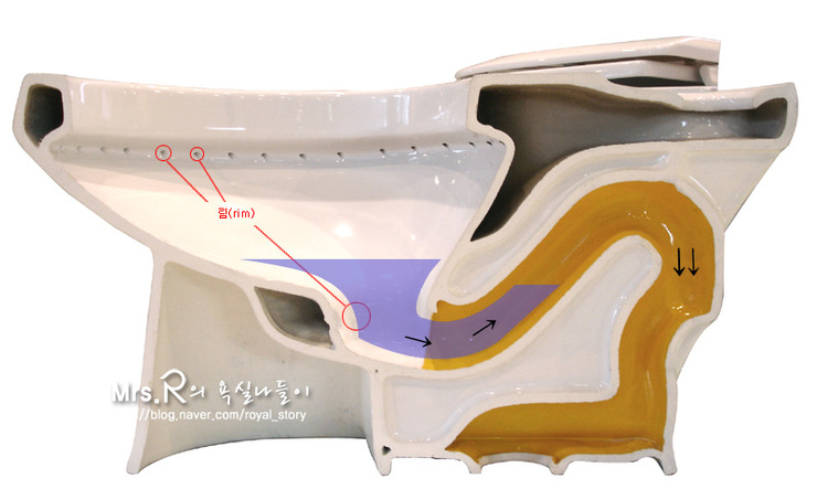 변기 어디까지 알고 있니 네이버 블로그
