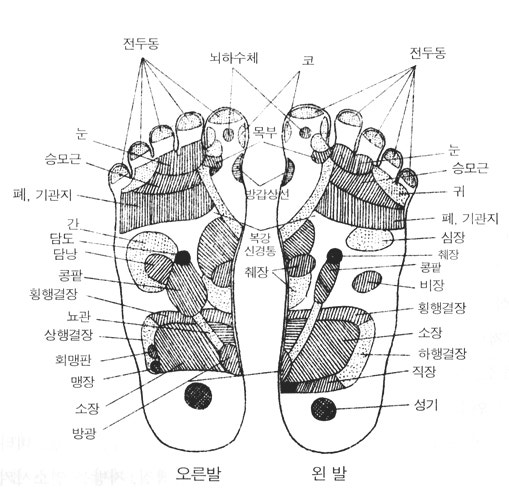 건강지표 발/ 발반사대 /발지압 : 네이버 블로그