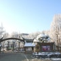 봄으로 가는 서울대공원의 설경