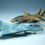 [Ace 1/144] F-14A "Bad Cats"