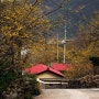 2010년 3월 21일 - 여행 ① 노란 꽃망울에 얽힌 애잔한 사연, 전남 구례 산동면 산수유 마을