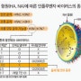 B형 독감이 봄바람을 타고 돌고 있다...