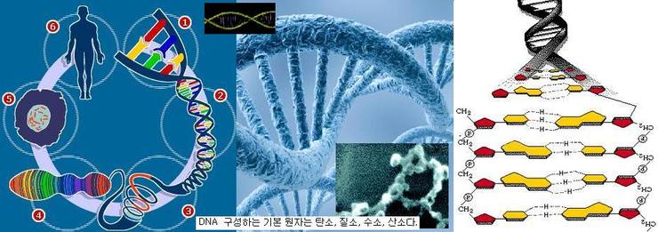 네이버 블로그 naver