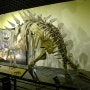 고성 공룡박물관
