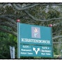 아프리카여행 : 5월29일 케이프타운 KIRSTENBOSH 식물원(남아공 케이프타운)