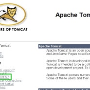 Apache Tomcat 5.5 설치, 환경변수 설정 방법