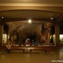 자연사박물관(American Museum of Natural History)