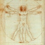 레오나르도 다빈치(Leonardo da Vinci) 신체도