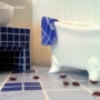비누로 인테리어한 욕실!