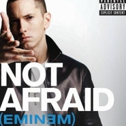 Eminem - 07 - Not Afraid -