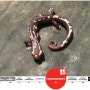 [20100801_IUCN Red List/멸종위기종] Bolitoglossa salvinii