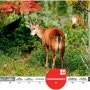 [20100805_IUCN Red List/멸종위기종] Hippocamelus bisulcus