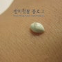 [코팩추천] 바르는 저자극 코팩 추천해드릴께요~ 네이처리퍼블릭 피지깨끗 코팩 3종키트