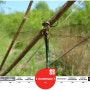 [20100815_IUCN Red List/멸종위기종] Somatochlora borisi