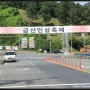 금산인삼축제