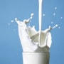 다이어트음식 저지방우유는 먹으면 정말 살이 안찌나요??